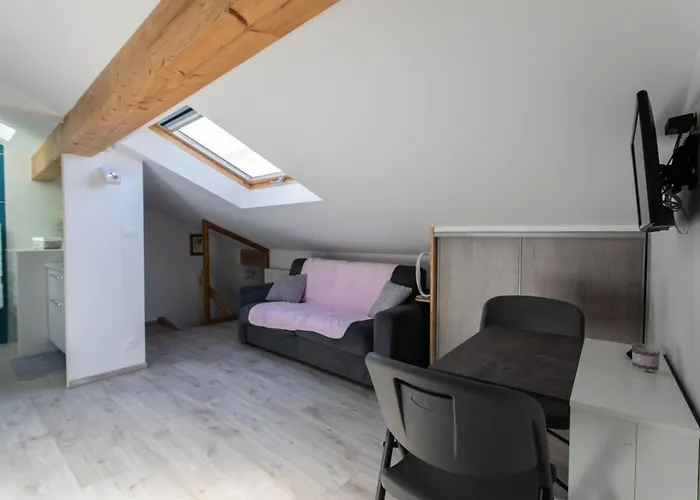 Le Coq Charmant Petit Studio En Centre Ville D\'Embrun